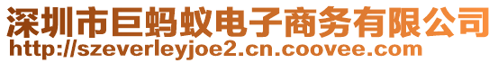 深圳市巨螞蟻電子商務(wù)有限公司