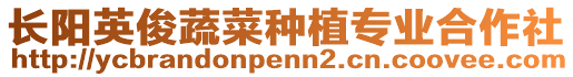 長(zhǎng)陽(yáng)英俊蔬菜種植專業(yè)合作社