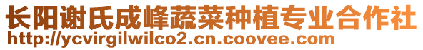 長陽謝氏成峰蔬菜種植專業(yè)合作社