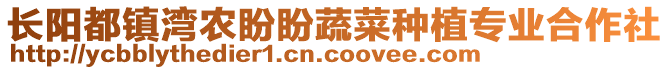 長(zhǎng)陽(yáng)都鎮(zhèn)灣農(nóng)盼盼蔬菜種植專業(yè)合作社