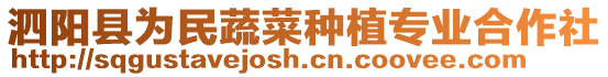 泗陽(yáng)縣為民蔬菜種植專(zhuān)業(yè)合作社