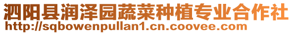 泗陽(yáng)縣潤(rùn)澤園蔬菜種植專業(yè)合作社