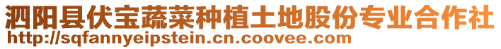 泗陽(yáng)縣伏寶蔬菜種植土地股份專業(yè)合作社