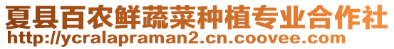 夏縣百農(nóng)鮮蔬菜種植專(zhuān)業(yè)合作社