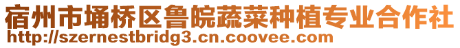 宿州市埇橋區(qū)魯皖蔬菜種植專業(yè)合作社