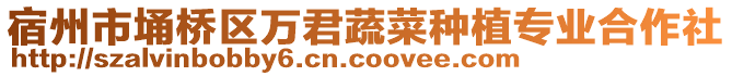 宿州市埇橋區(qū)萬君蔬菜種植專業(yè)合作社