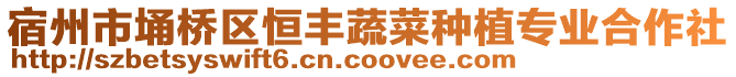 宿州市埇橋區(qū)恒豐蔬菜種植專業(yè)合作社