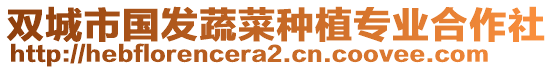 雙城市國(guó)發(fā)蔬菜種植專(zhuān)業(yè)合作社