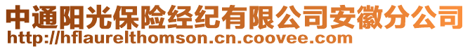 中通陽光保險(xiǎn)經(jīng)紀(jì)有限公司安徽分公司