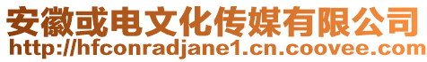 安徽或電文化傳媒有限公司