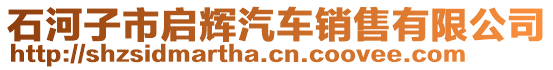 石河子市啟輝汽車銷售有限公司