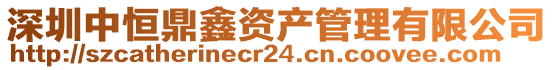 深圳中恒鼎鑫資產(chǎn)管理有限公司