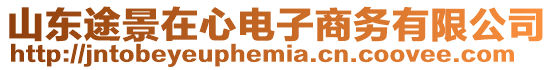 山東途景在心電子商務(wù)有限公司