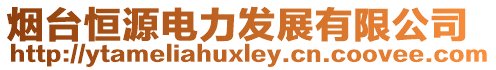 煙臺恒源電力發展有限公司