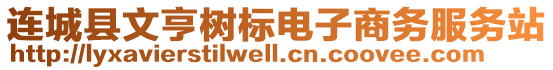 連城縣文亨樹標電子商務服務站