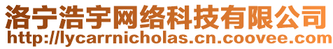 洛寧浩宇網絡科技有限公司