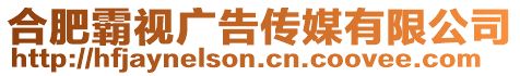 合肥霸視廣告?zhèn)髅接邢薰? style=