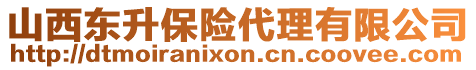 山西東升保險(xiǎn)代理有限公司