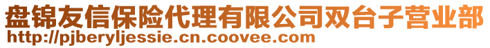 盤錦友信保險代理有限公司雙臺子營業部
