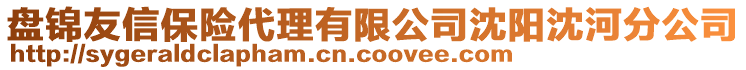 盤錦友信保險代理有限公司沈陽沈河分公司