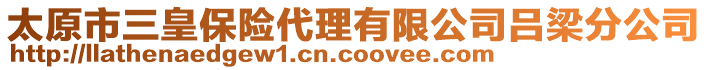 太原市三皇保險(xiǎn)代理有限公司呂梁分公司