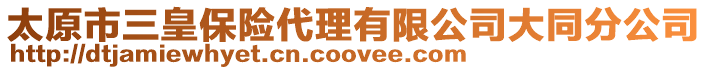 太原市三皇保險(xiǎn)代理有限公司大同分公司