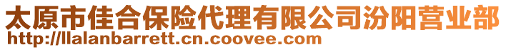 太原市佳合保險(xiǎn)代理有限公司汾陽營(yíng)業(yè)部