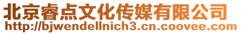 北京睿點文化傳媒有限公司