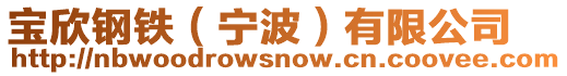 寶欣鋼鐵（寧波）有限公司