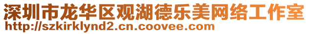 深圳市龍華區觀湖德樂美網絡工作室