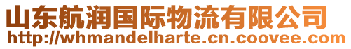 山東航潤國際物流有限公司
