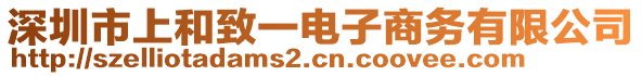 深圳市上和致一電子商務(wù)有限公司