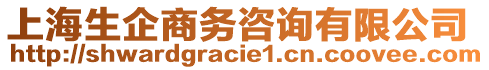 上海生企商務(wù)咨詢有限公司