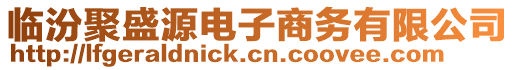 臨汾聚盛源電子商務(wù)有限公司