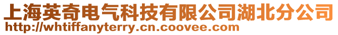 上海英奇電氣科技有限公司湖北分公司