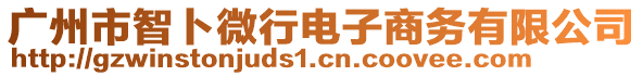 廣州市智卜微行電子商務(wù)有限公司