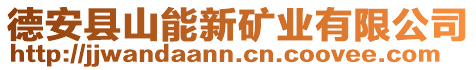 德安縣山能新礦業(yè)有限公司