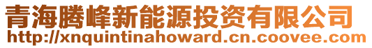 青海騰峰新能源投資有限公司