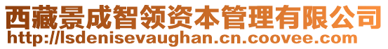 西藏景成智領(lǐng)資本管理有限公司