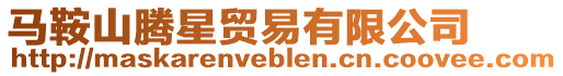 馬鞍山騰星貿(mào)易有限公司