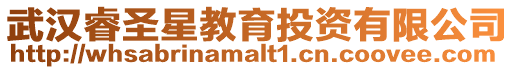 武漢睿圣星教育投資有限公司
