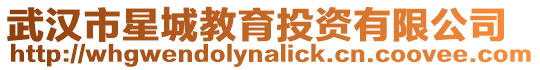 武漢市星城教育投資有限公司