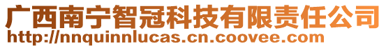 廣西南寧智冠科技有限責(zé)任公司