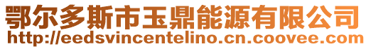 鄂爾多斯市玉鼎能源有限公司