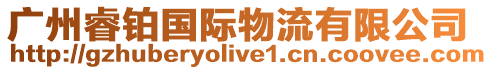 廣州睿鉑國(guó)際物流有限公司