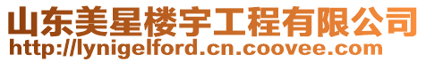 山東美星樓宇工程有限公司