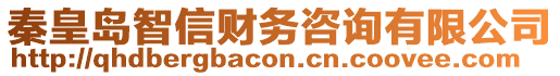 秦皇島智信財務咨詢有限公司