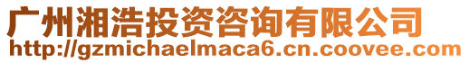 廣州湘浩投資咨詢有限公司