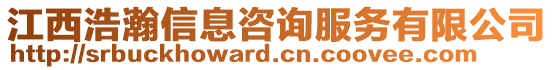 江西浩瀚信息咨詢服務有限公司