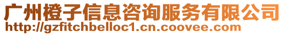 廣州橙子信息咨詢服務有限公司
